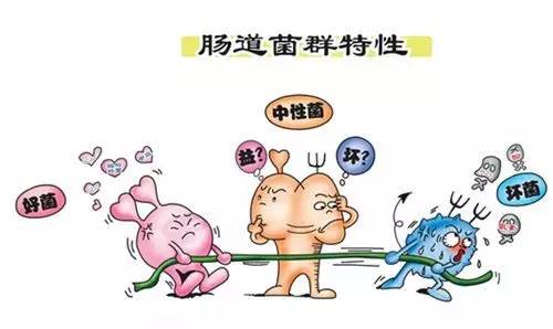 益生菌里含有什么成分,宝宝吃益生菌到底有没有用