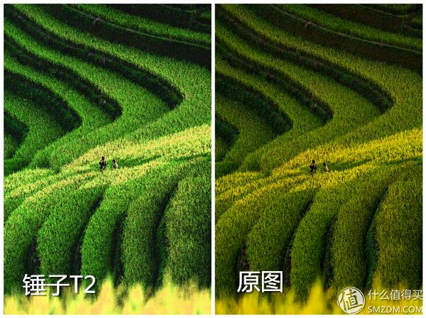 锤子t2手机怎样,锤子t2手机发布