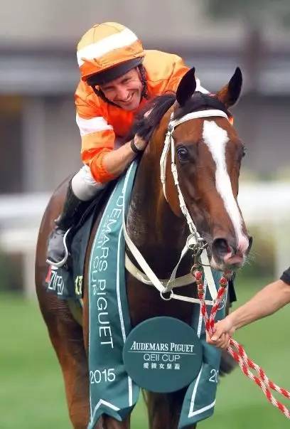 “将男”!上季“最佳长途马”正式退役