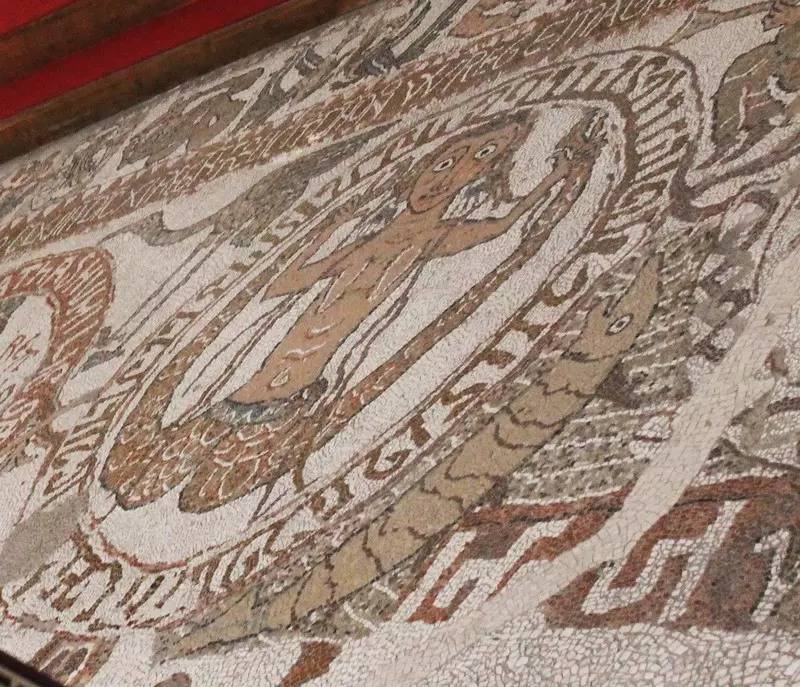 星巴克logo上是男是女,星巴克logo高清图片