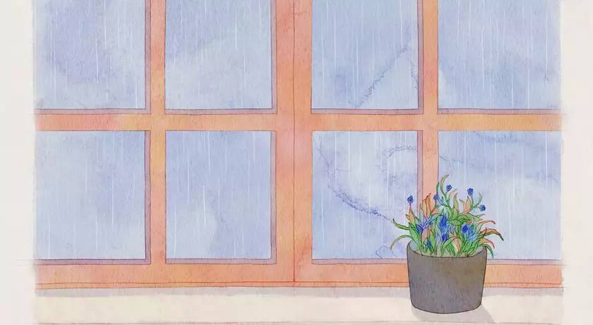 夜读爱情最怕什么,夜读爱情