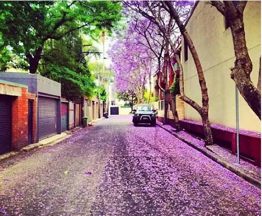 先定一个小目标活下来,先定一个小目标全集