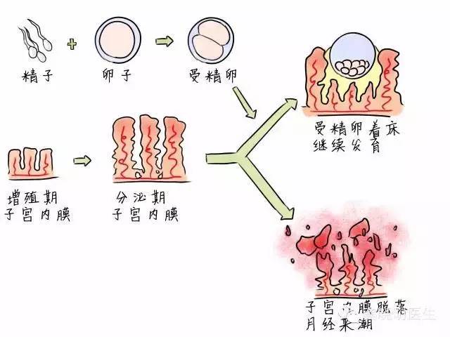 究竟为什么怀不上孩子