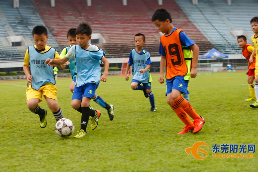 足球胜负怎么理解,如何做到足球胜负分析精准