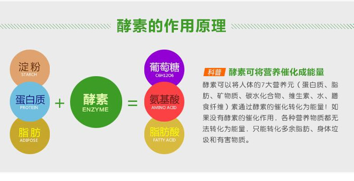 酵素的起源日本书籍,酵素起源于哪儿