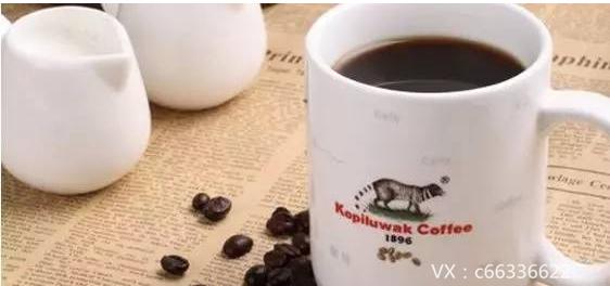 最热销的干货,市场干货哪种最畅销