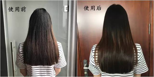 头发很油洗头可以不用洗发水吗,天天洗头发还是很油用什么洗发水