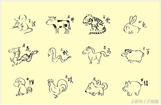 今天给大家讲一下12生肖的来历,12生肖的来历了解相关的传统文化