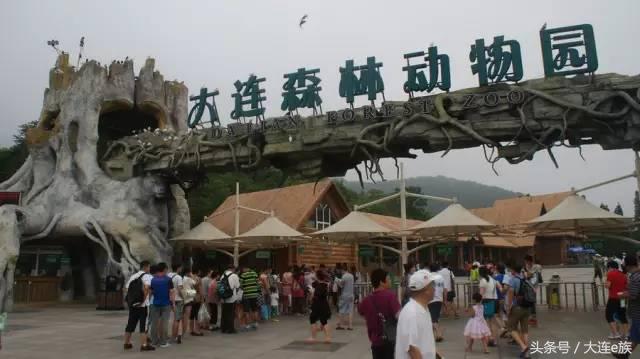 大连沙河口西岗中山哪个区最大,大连市区中山西岗沙河口