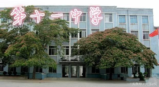 大连沙河口西岗中山哪个区最大,大连市区中山西岗沙河口