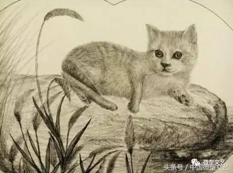 王子红尘品读美静杯诗歌