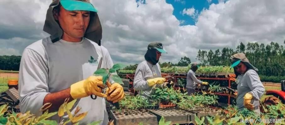 赛得利收购澳洋科技,赛得利最新收购消息