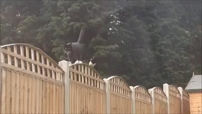 大爷的遮阳工具堪称完美,整体搭配又如此清新脱俗