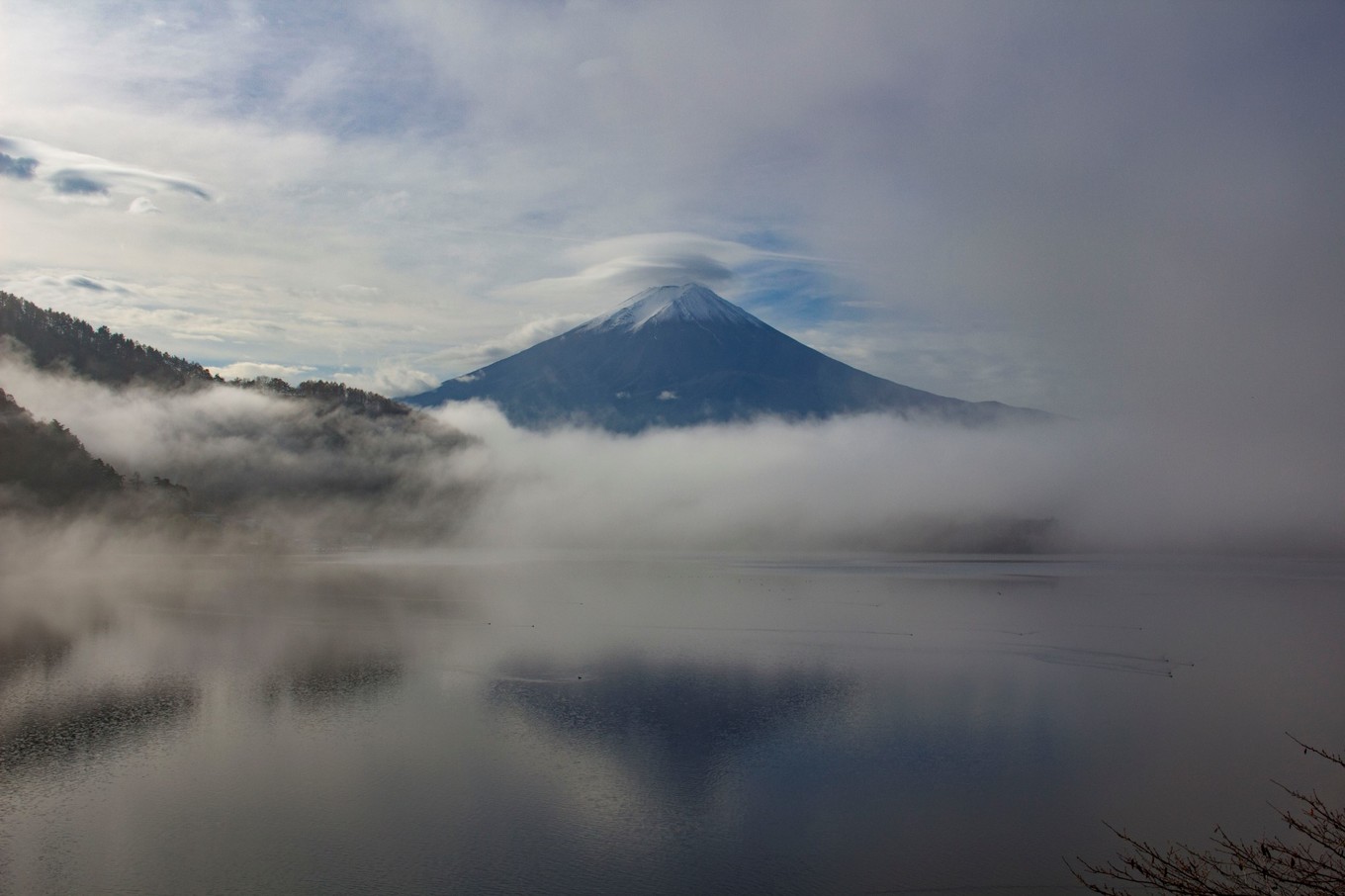 日本物语落樱下的邂逅,浪漫的日本物语