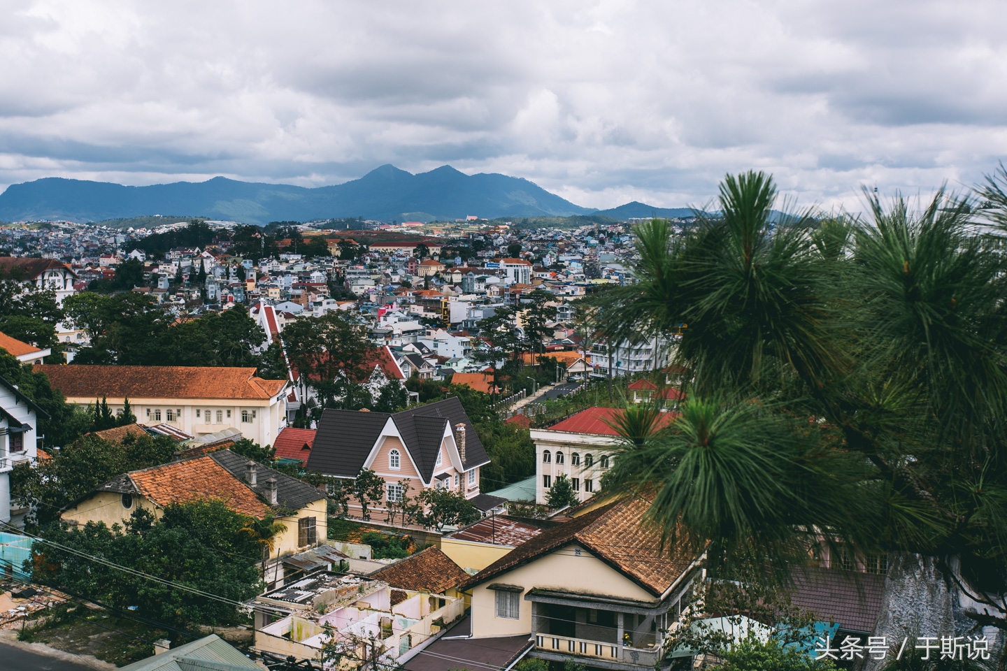 大叻值得去的地方,大叻旅游
