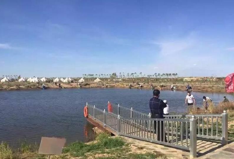 奈曼旗宝古图沙漠,奈曼旗宝古图沙漠游玩攻略