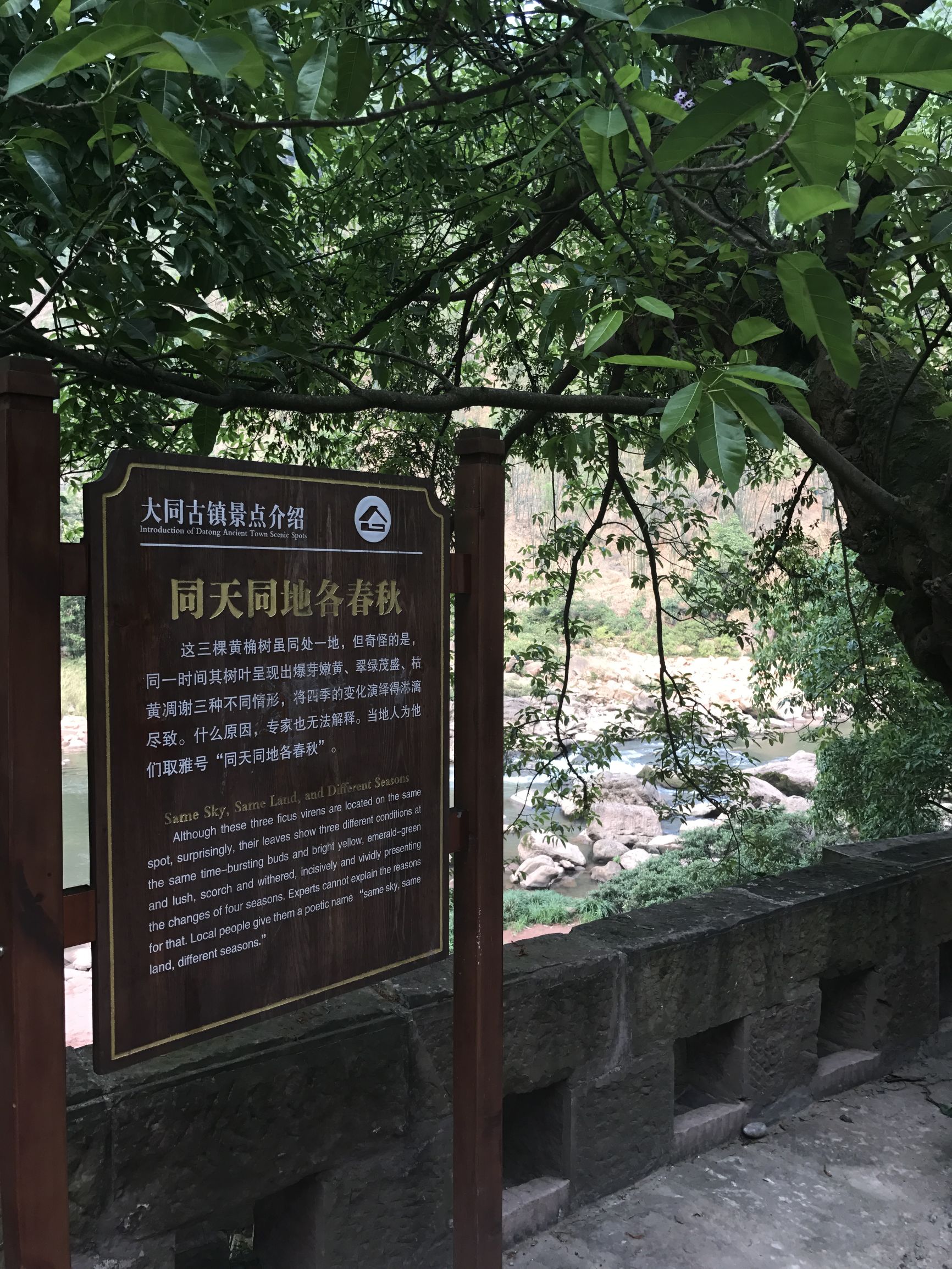 不一样的西塘古镇,大同最值得打卡的十大古镇