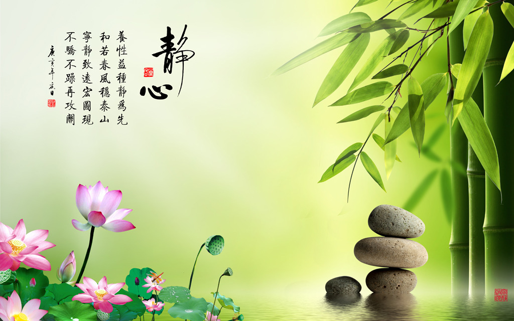 健康养生健身操火火的姑娘,健康养生健身达人