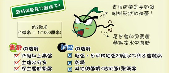 植物青枯病打什么药,植物病害防治的原理