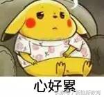 这才是HR最喜欢看到的简历，教你做一份套路满满且不失真诚的简历！直击HR的内心~