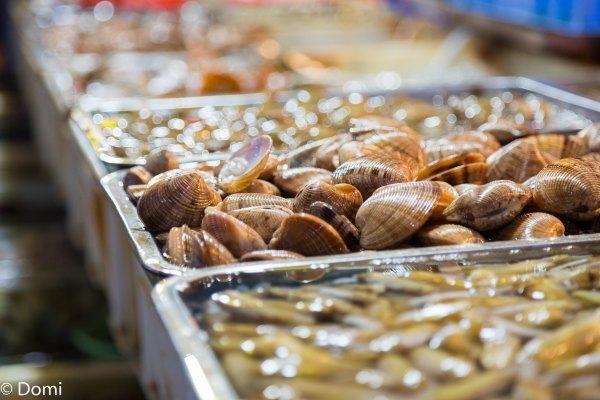 一顿海鲜大餐都有什么,海鲜大餐又便宜又营养又好吃