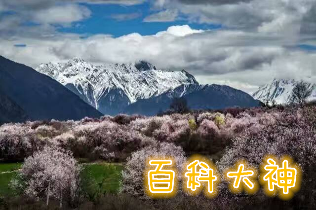 零成本创业属于个体户吗,你以为自己在开店吗