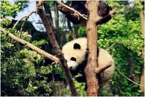 高端亲子旅行和一般亲子旅行差别,驴悦亲子