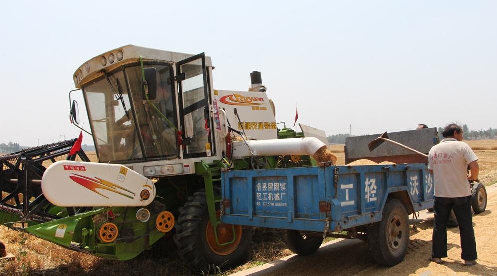 纵横田间，麦收不将就，这款山东“壮汉”收割机就是猛