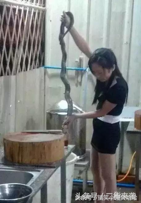 感谢农民伯伯！新培育的美女性感水萝卜！