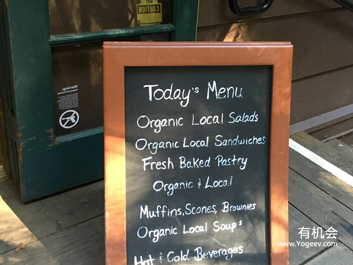 现实中的魔法森林,魔法森林教学课件