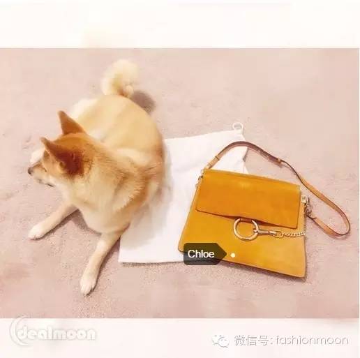 chloefaye双肩包,chloefaye女包