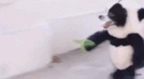 盘点5大口红,盘点全部明星口红