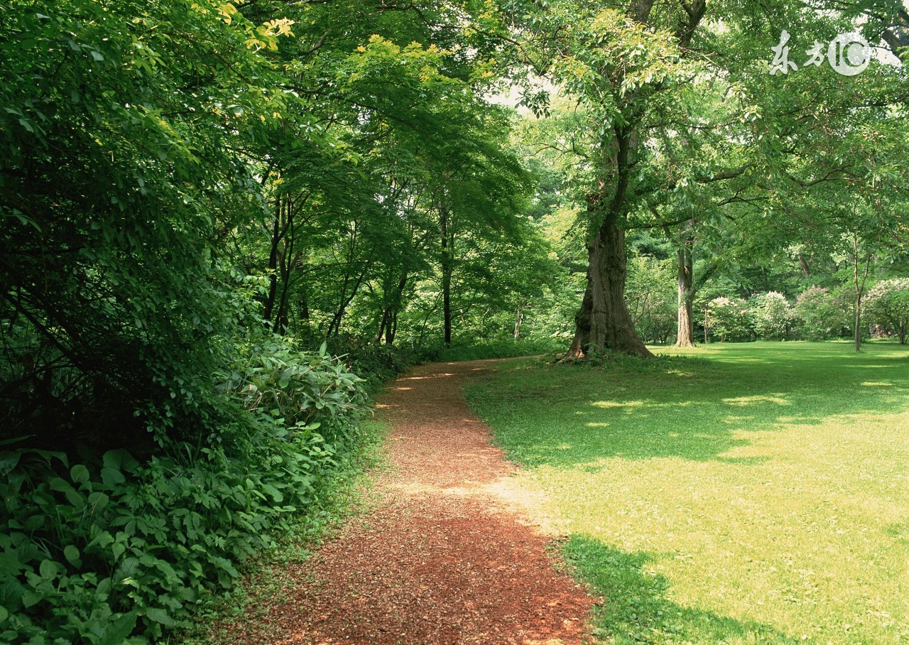 什么叫做凤凰男心态,凤凰男的10个性格特征