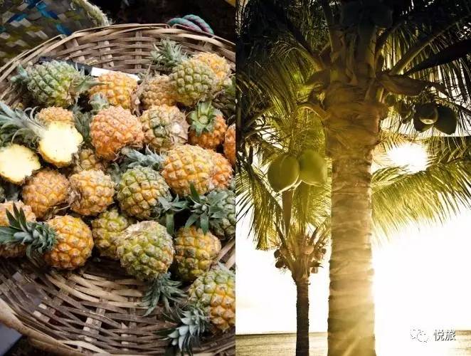 毛里求斯出境旅游攻略,刚去毛里求斯的人可以免签30天吗