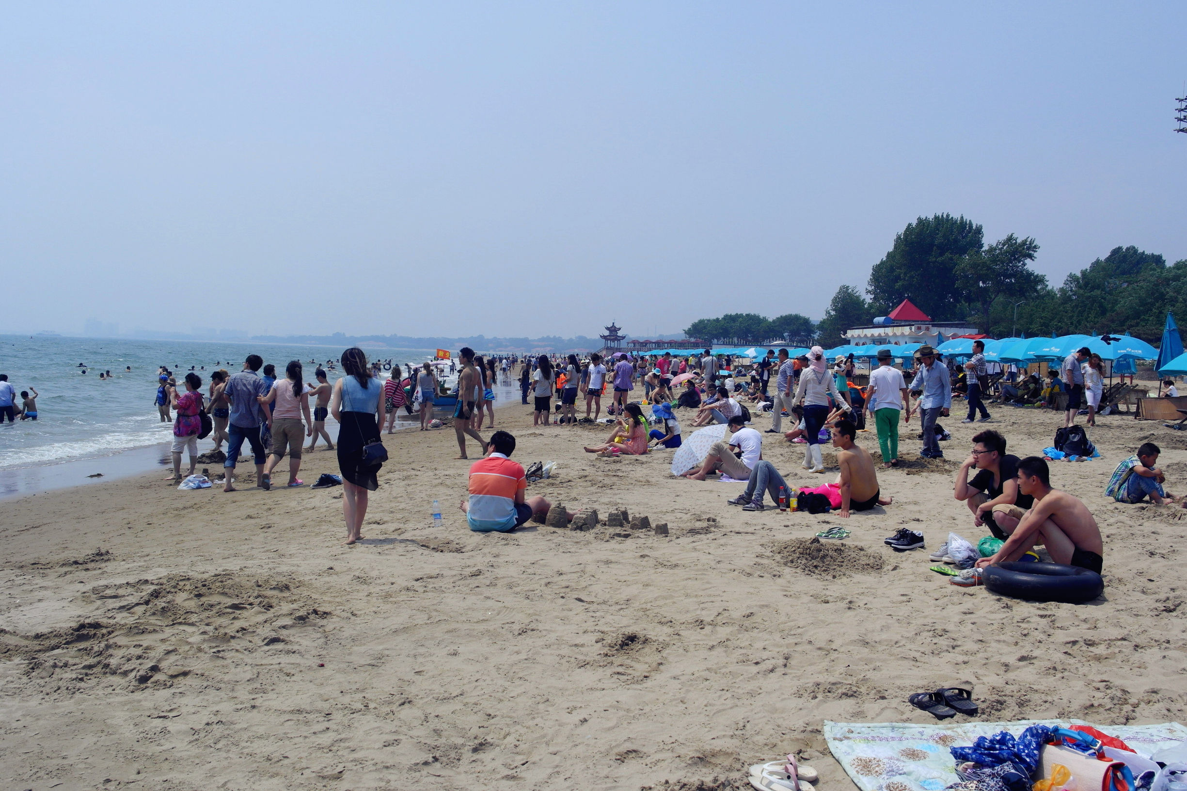 在北戴河可以吃什么,秦皇岛现在吃啥海鲜好