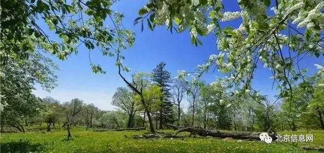 父亲节陪爸爸去玩耍,爸爸和宝贝间的互动父亲节