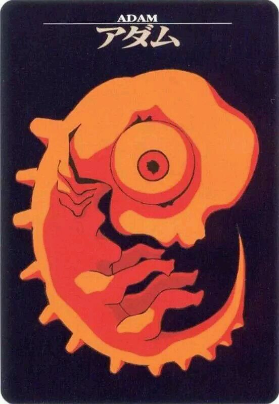 使徒来袭作者,使徒来袭eva