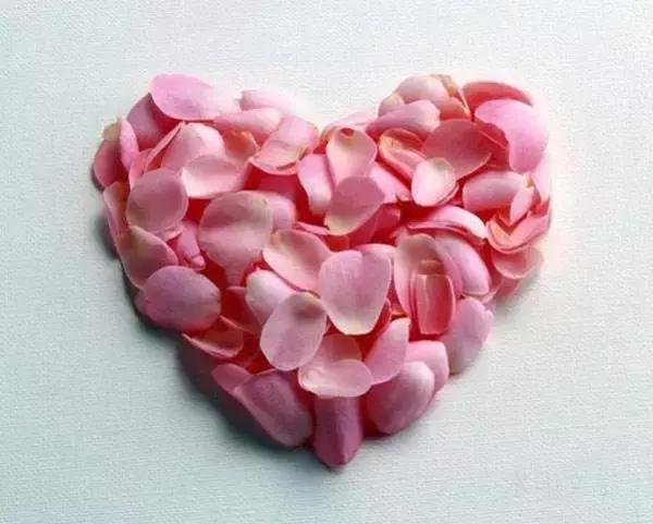 借你一双慧眼视频,借你一双慧眼防忽悠