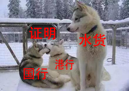 国行港版水货,港行与国行质量的区别