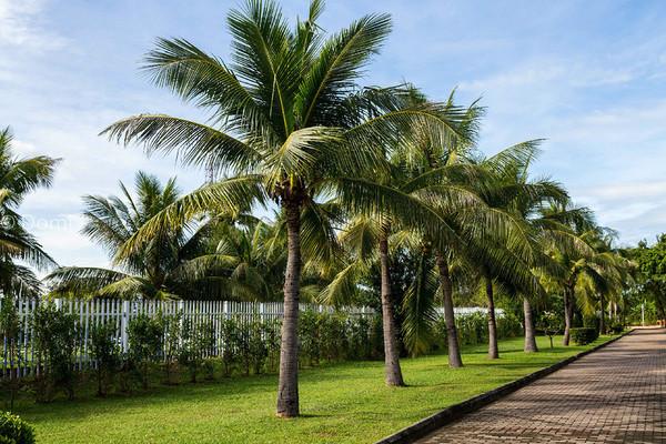 一顿海鲜大餐都有什么,海鲜大餐又便宜又营养又好吃