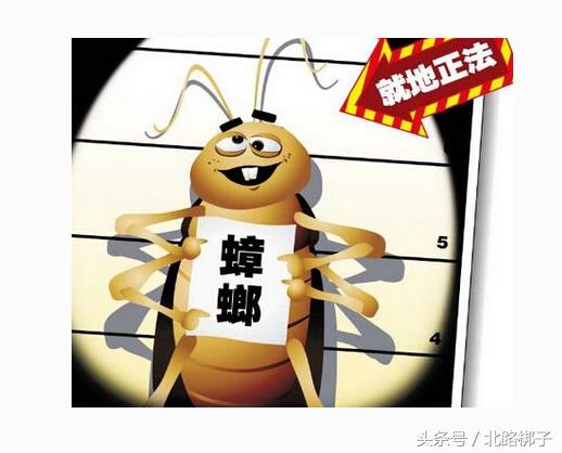 防治蟑螂药物,防治蟑螂最好的药