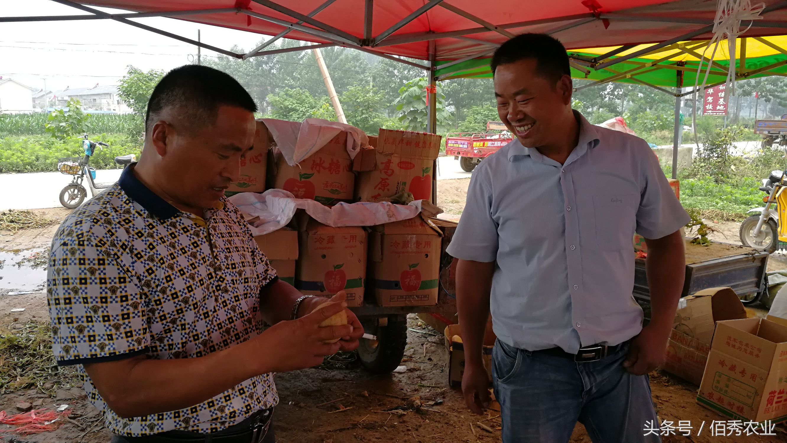 农村做小生意推荐排行榜,适合农村小生意推荐