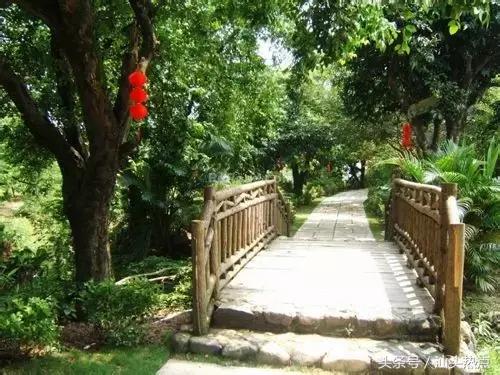 汕头十大公园,汕头最美园景