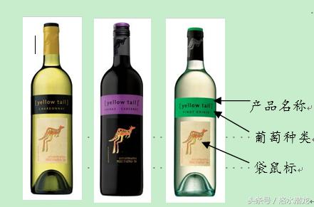 黄尾袋鼠智利,黄尾袋鼠背后的故事