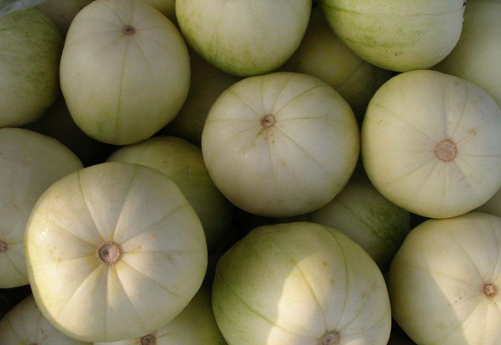 一味中药护肾,养肝护心的中药