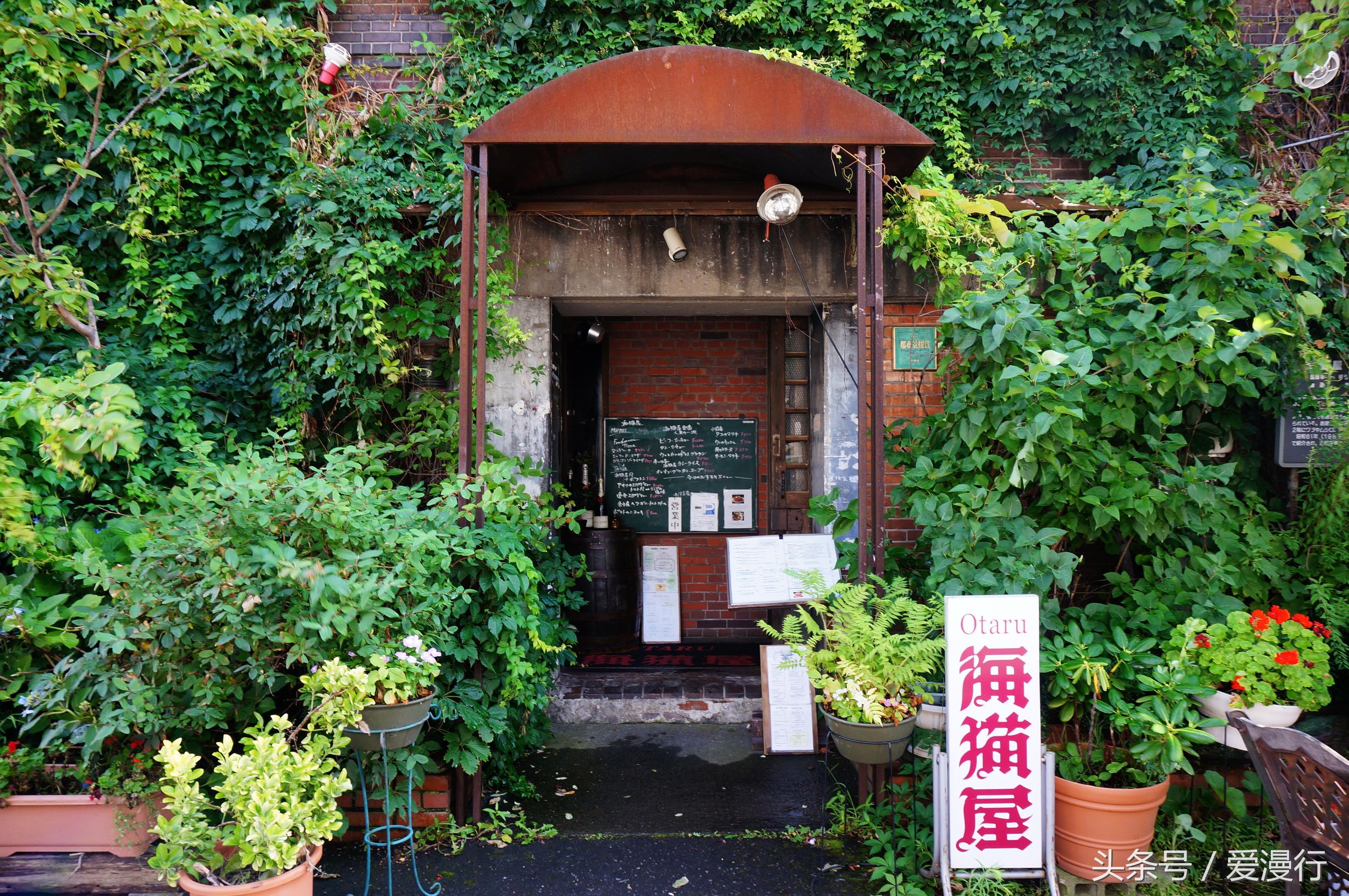 一封来自小樽的情书完整版,吃货小情书