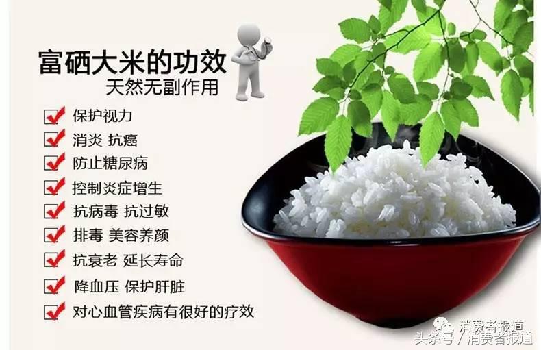 大米的种类及区别,大米的知识您到底了解多少