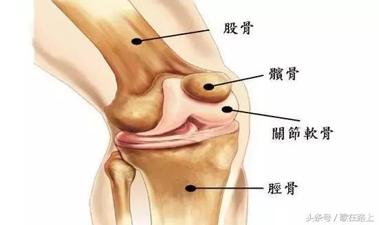 常见的跑步损伤,跑步的常见损伤之髋关节