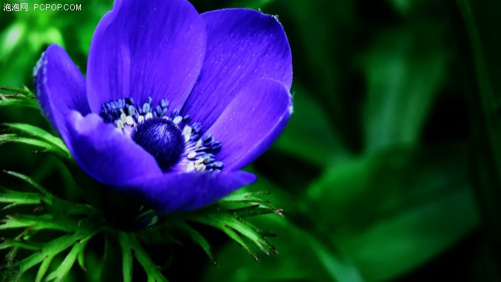 夏普aquos电视2008款,夏普电视还值得买吗