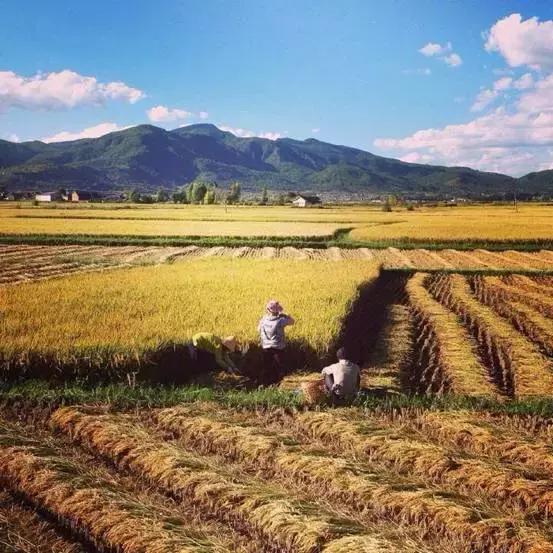 这对60后夫妻不惜卖掉公司，只为一间100多岁的白族老宅，连剑桥教授、《国家地理》都被他们吸粉